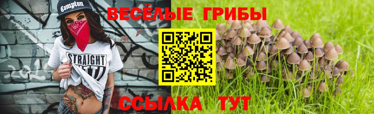 Псилоцибиновые грибы Magic Shrooms  Вход с VPN  Трёхгорный  Галлюциногенные грибы Psilocybe 